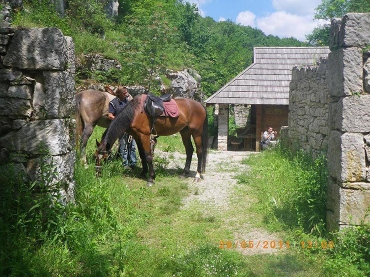 Dvori Stipanovi With Heated Pool And Jacuzzi Villa Donje Rascane Buitenkant foto